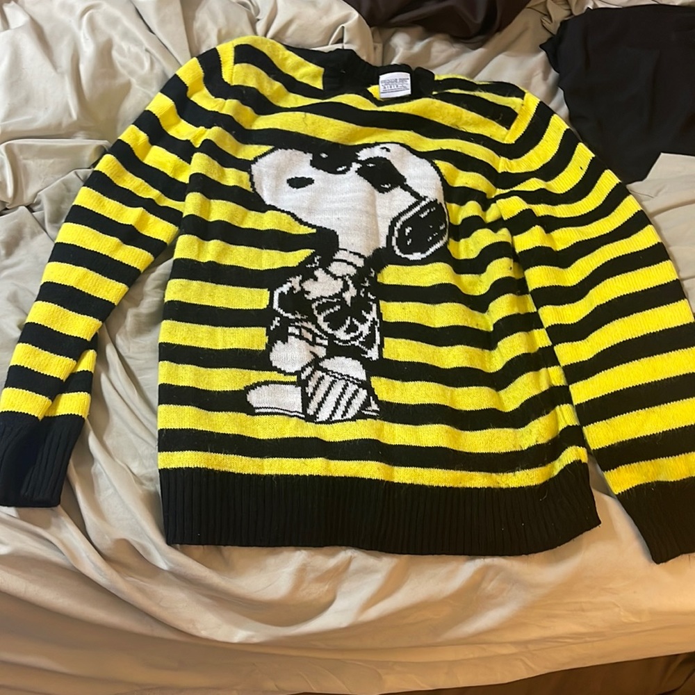 Snoopy Stripe Sweater
